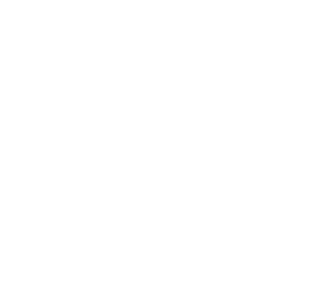 Shoes Logo